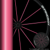 Rayon 4mm rose roue Spinergy 24"